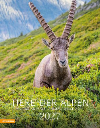 Tiere der Alpen - Kalender 2027 Tiere der Alpen - Kalender 2027