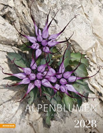 Alpenblumen Kalender 2028 Alpenblumen Kalender 2028
