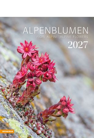 Alpenblumen Kalender 2027