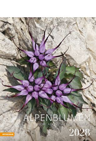 Alpenblumen Kalender 2028 Alpenblumen Kalender 2028